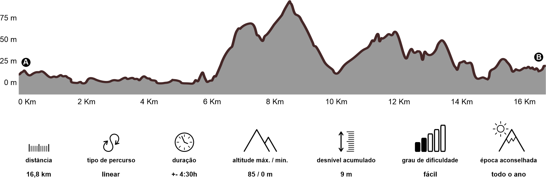 Altimetria